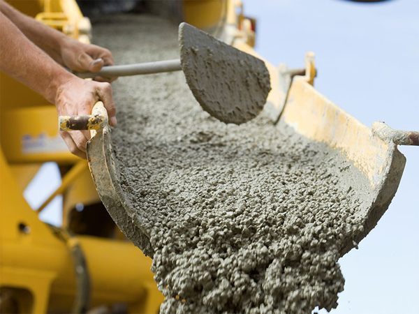 Homigon elaborado entre rios